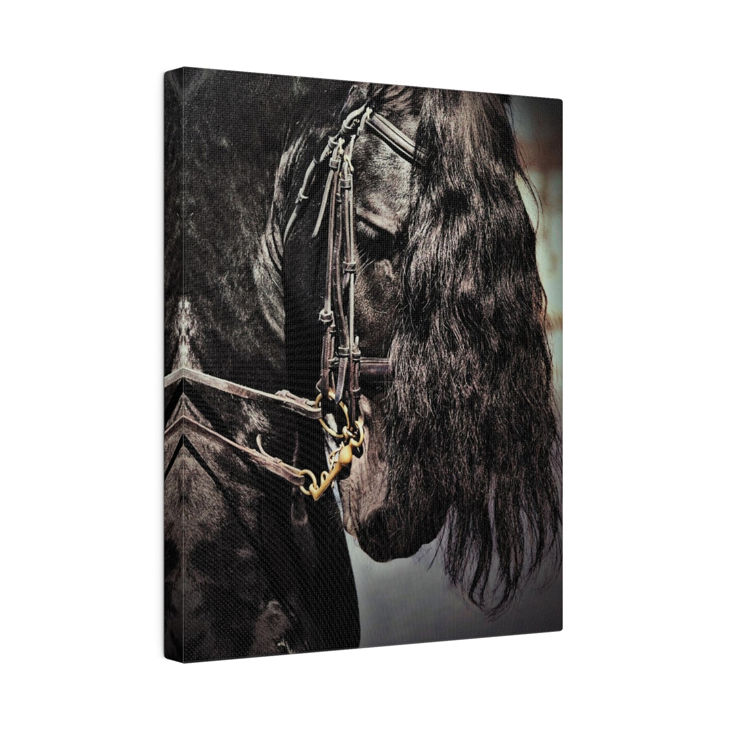 H931 Matte Canvas, Stretched, 0.75"-Black Horse-Dressage Friesian