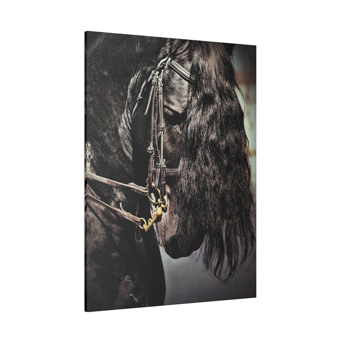 H931 Matte Canvas, Stretched, 0.75"-Black Horse-Dressage Friesian