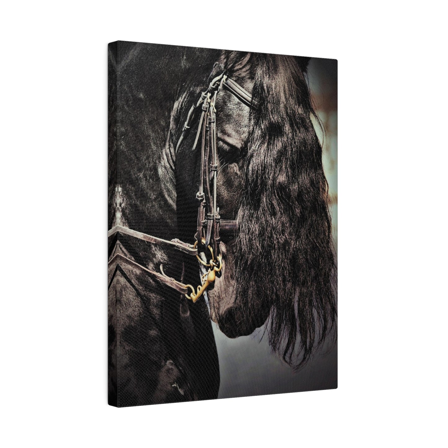 H931 Matte Canvas, Stretched, 0.75"-Black Horse-Dressage Friesian