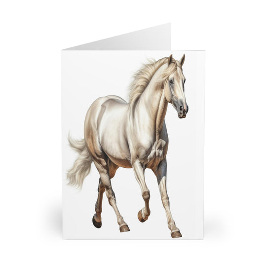 S10010 Greeting Cards (5 Pack)-Horse-Blank Inside-White Gray Horse