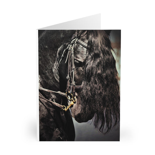 S797 Greeting Cards (5 Pack)-Horse-Blank Inside-Black Horse