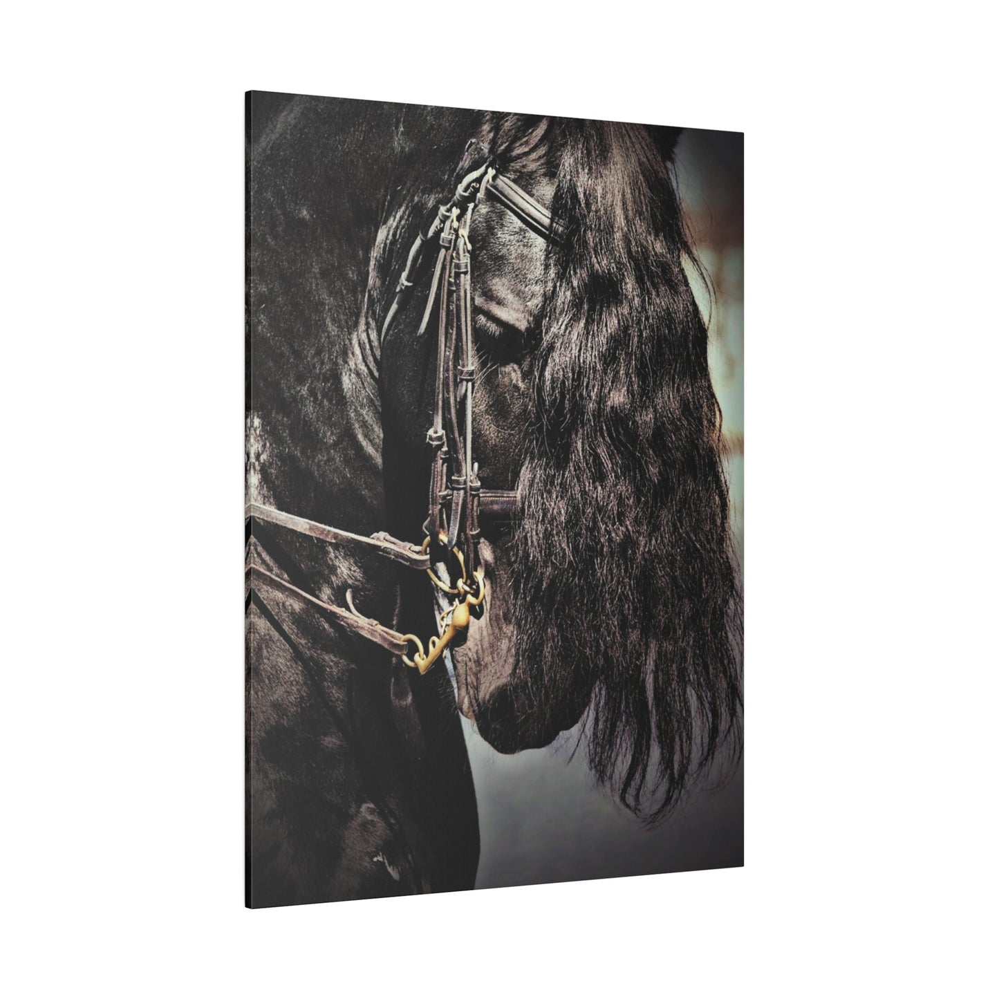 H931 Matte Canvas, Stretched, 0.75"-Black Horse-Dressage Friesian